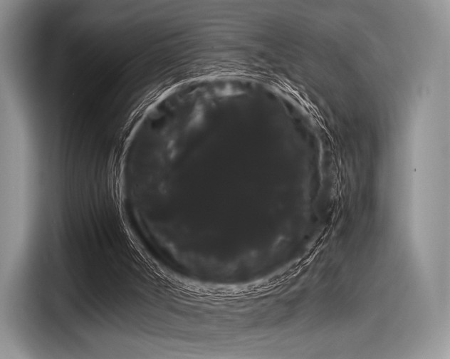 X0000116120002200911301336