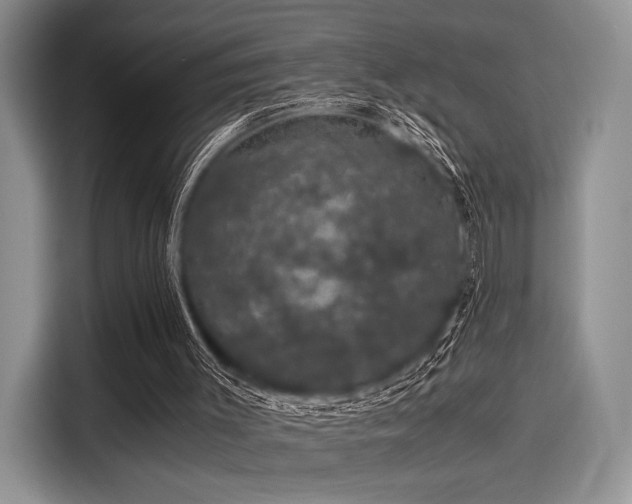 X0000116120003200911301336