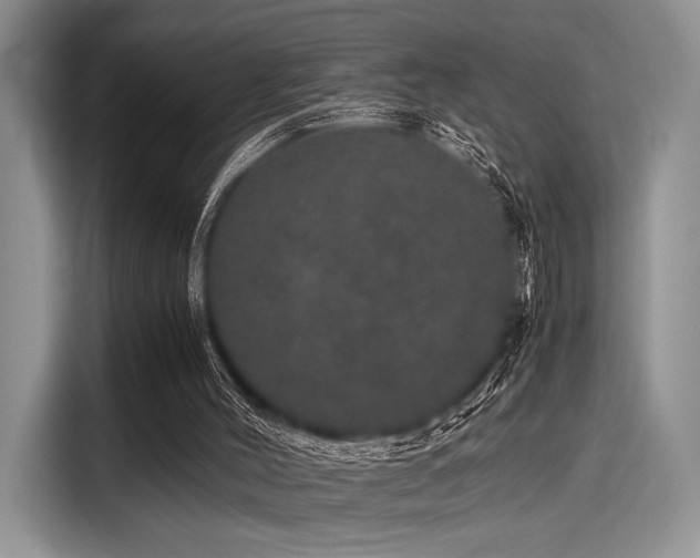 X0000116120004200911301336