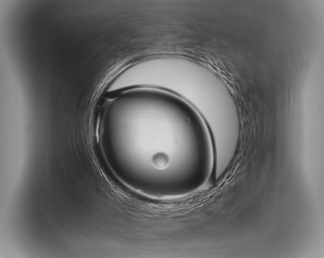 X0000116120005200911301336