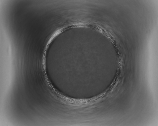 X0000116120006200911301336