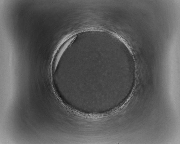 X0000116120008200911301336