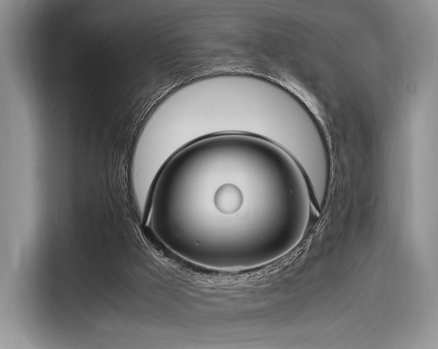 X0000116120009200911301336