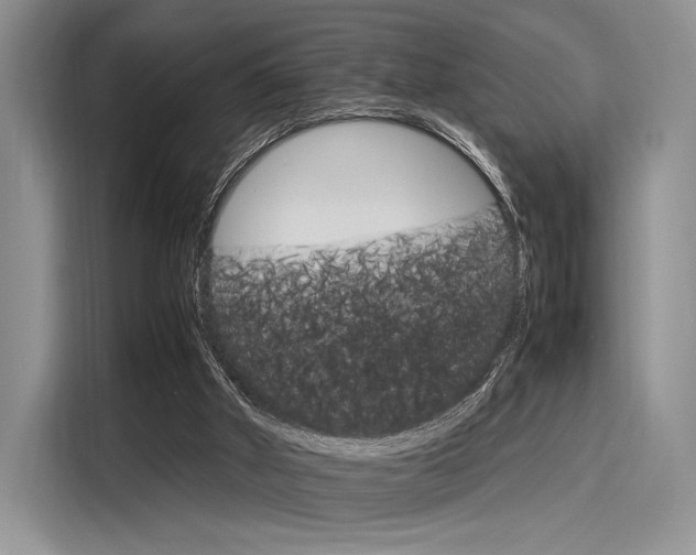 X0000116120010200911301336