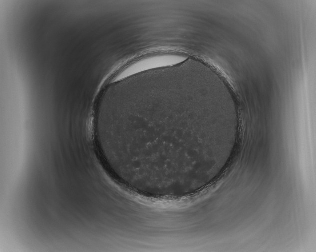 X0000116120016200911301336