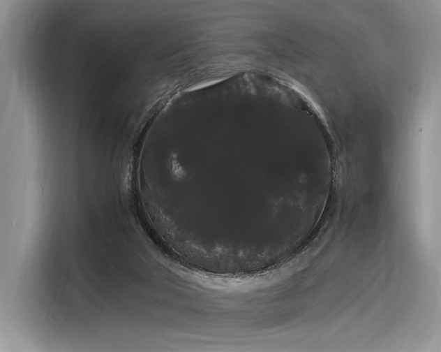 X0000116120018200911301336