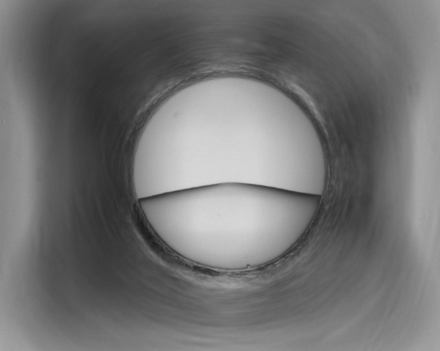 X0000116120020200911301336