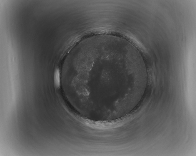 X0000116120022200911301336