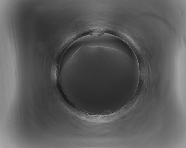 X0000116120023200911301336