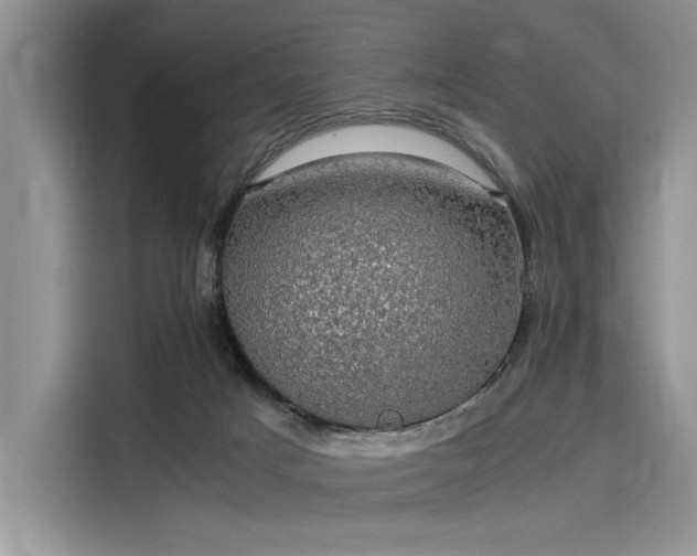 X0000116120025200911301336