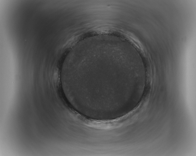 X0000116120029200911301336