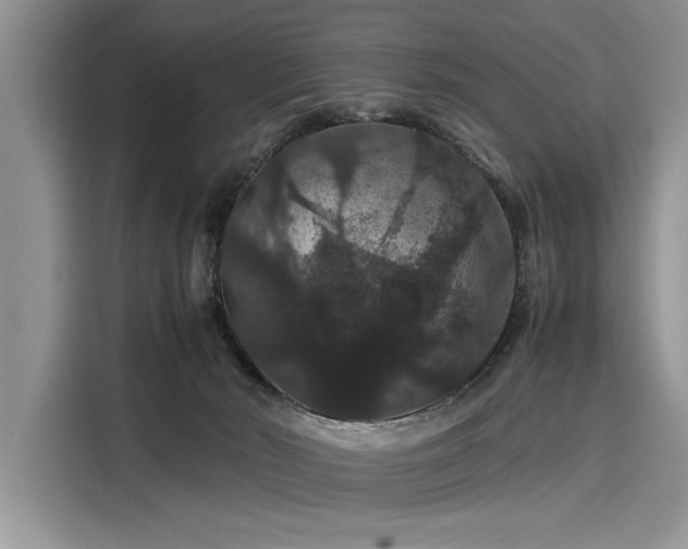 X0000116120030200911301336