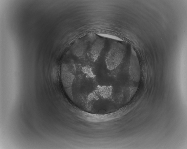 X0000116120034200911301336