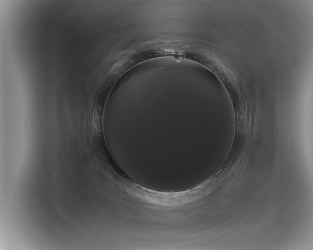 X0000116120035200911301336