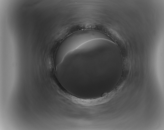 X0000116120039200911301336