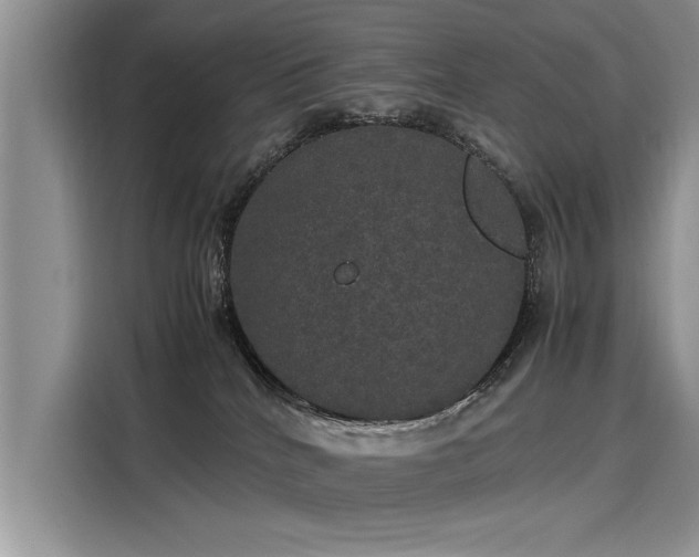 X0000116120040200911301336