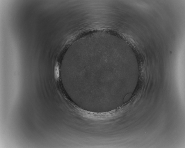 X0000116120042200911301336