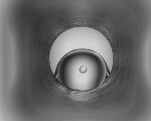 X0000116120045200911301336