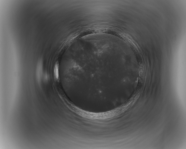 X0000116120046200911301336