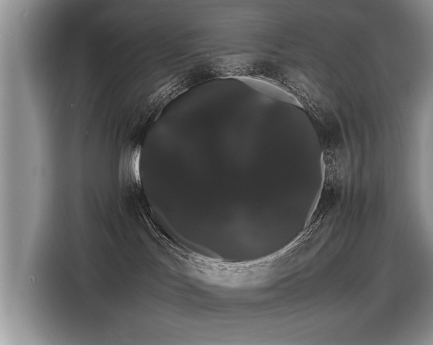 X0000116120047200911301336