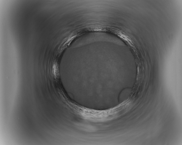 X0000116120048200911301336