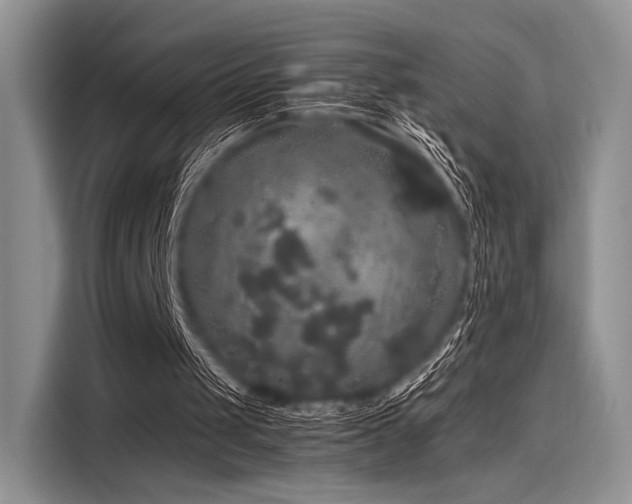 X0000116120049200911301335