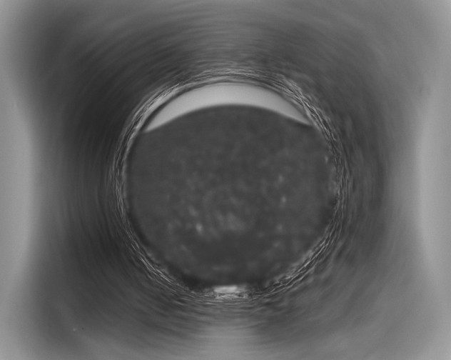 X0000116120050200911301335