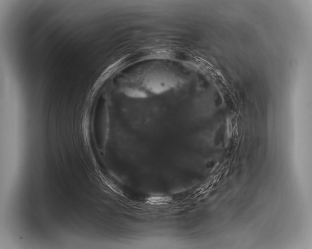 X0000116120051200911301335