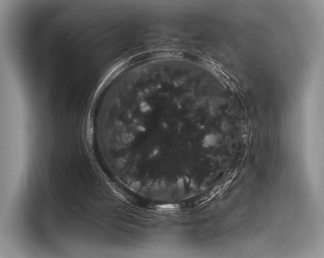 X0000116120053200911301335