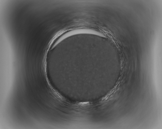 X0000116120054200911301335