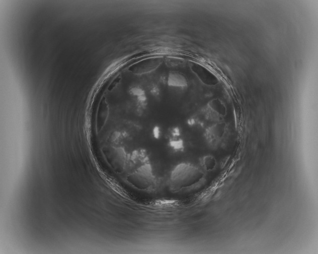 X0000116120055200911301335