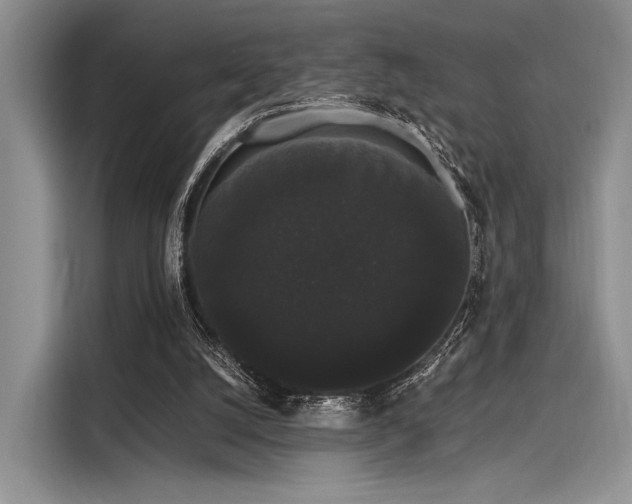 X0000116120056200911301335