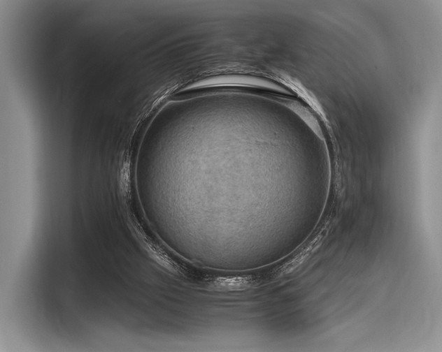 X0000116120057200911301335