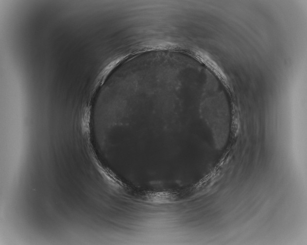 X0000116120058200911301335