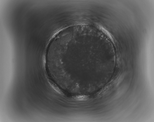 X0000116120059200911301335