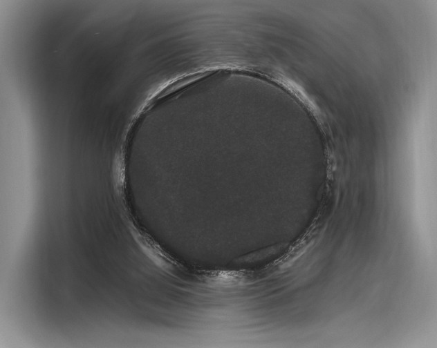 X0000116120060200911301335