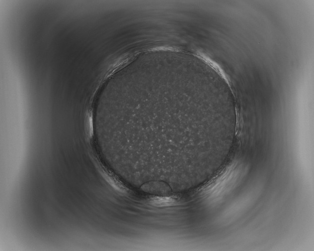 X0000116120061200911301335