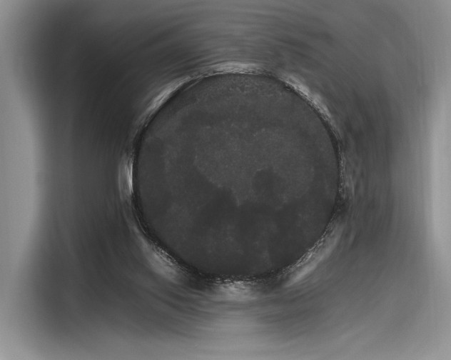 X0000116120062200911301335