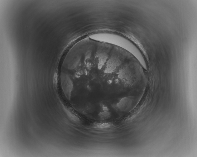 X0000116120063200911301335