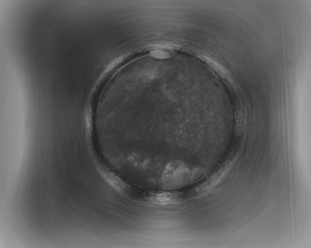 X0000116120064200911301335