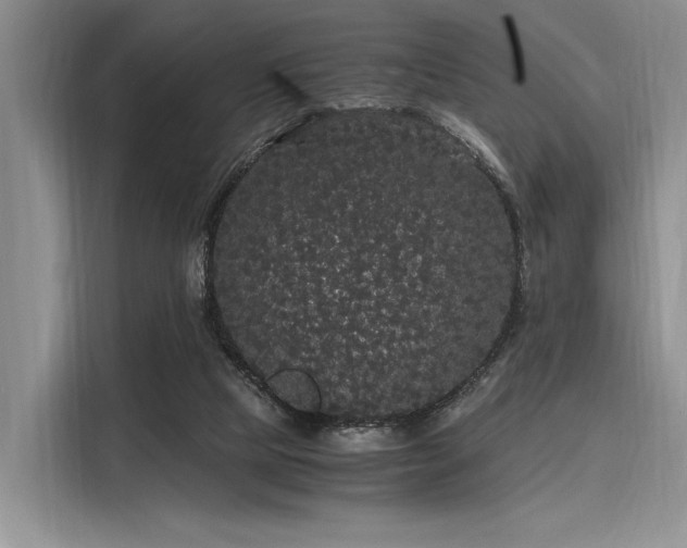 X0000116120065200911301335