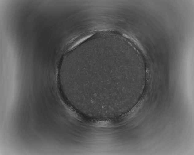 X0000116120066200911301335