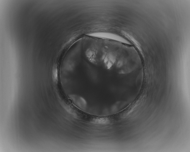 X0000116120067200911301335