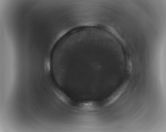 X0000116120068200911301335