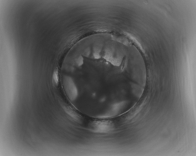 X0000116120069200911301335