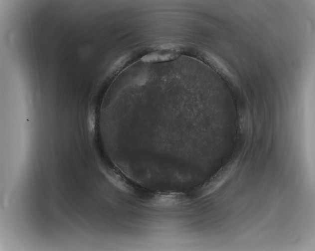 X0000116120072200911301335