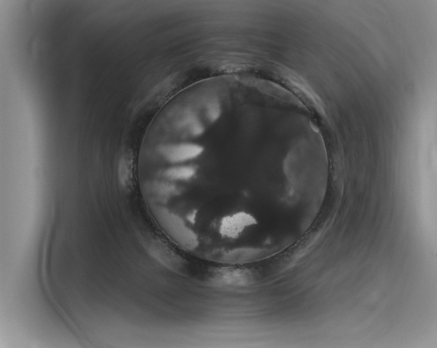 X0000116120073200911301335