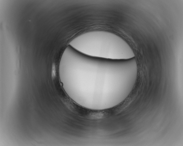 X0000116120075200911301335