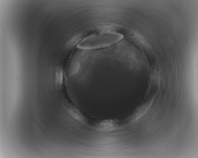 X0000116120076200911301335