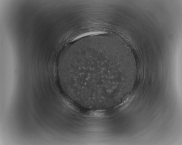 X0000116120078200911301335